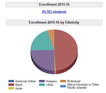 IPS racial breakdown 2016